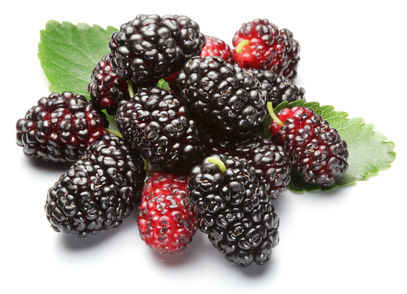 Health Benefits of Mulberries