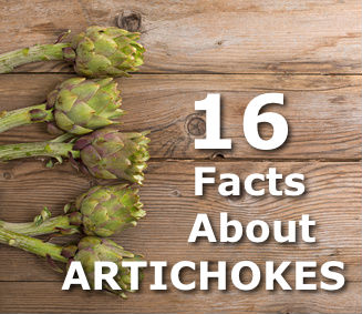 16 Facts About Artichokes