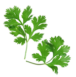 benefits of parsley