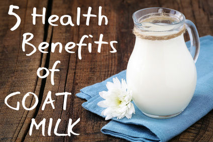 5 Health Benefits of Goat Milk