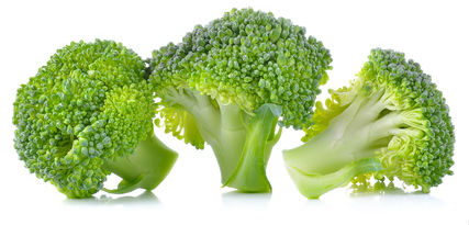 How to Store Broccoli