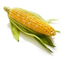 How to Freeze Corn