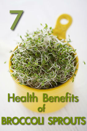 7 Health Benefits of Broccoli Sprouts
