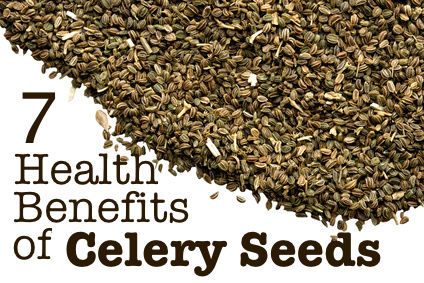 7 Health Benefits of Celery Seeds