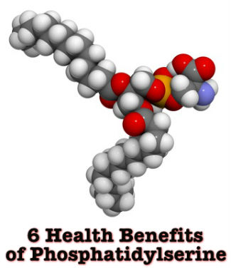 6 Health Benefits of Phosphatidylserine